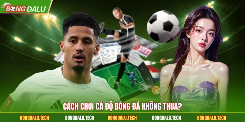 Cách chơi cá độ bóng đá không thua?