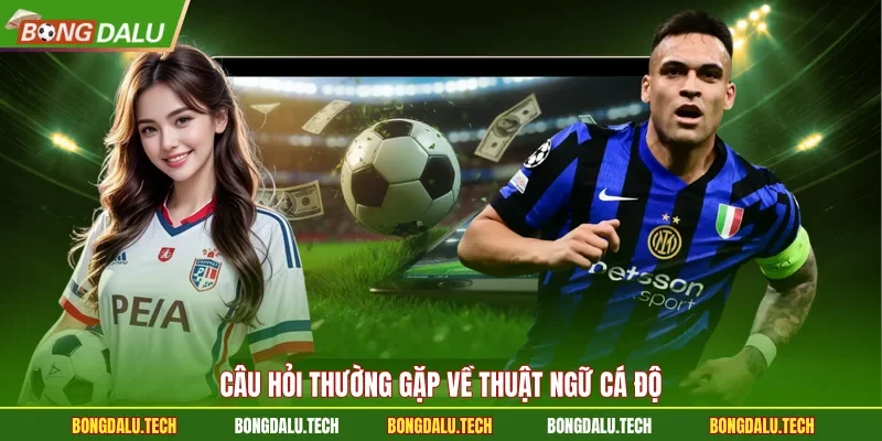 Câu hỏi thường gặp về thuật ngữ cá độ 