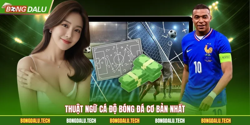 Thuật ngữ cá độ bóng đá cơ bản nhất